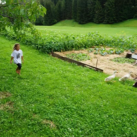 Ganoihof Lantgård